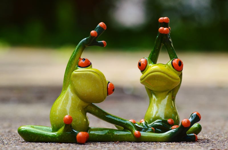 Yoga & Pilates Workouts